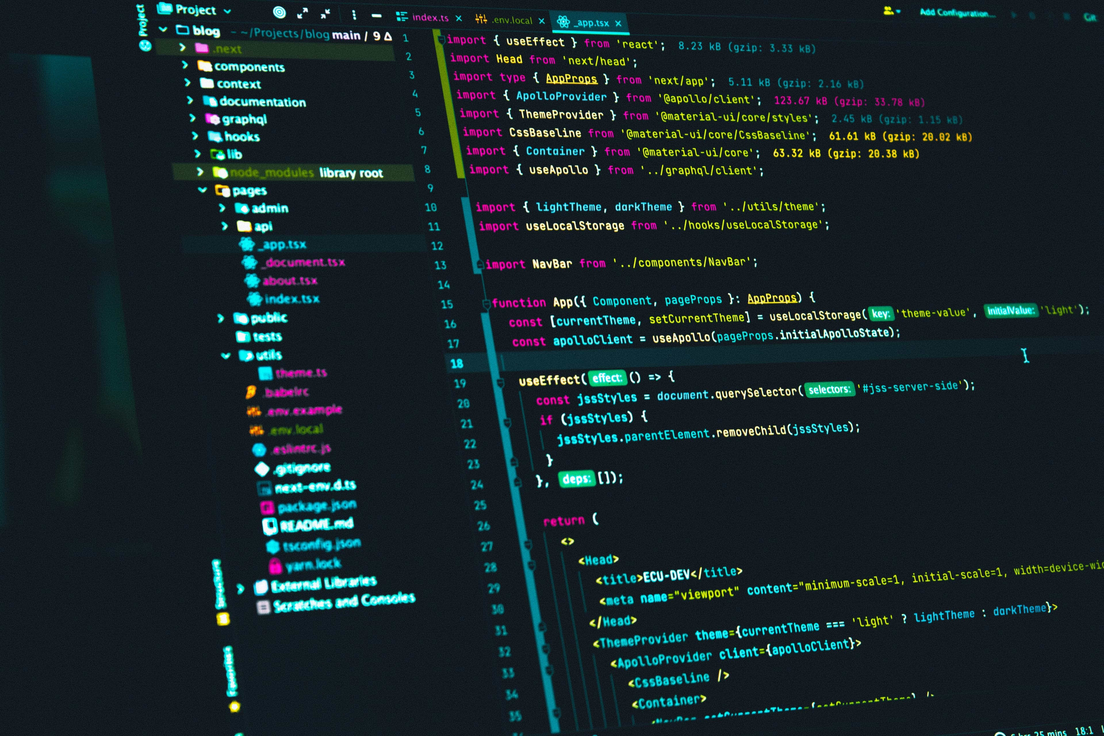 Custom software development for organizations
